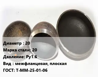 Заглушка стальная 20 Сталь: 20 Ру1.6 межфланцевая, плоская ГОСТ: Т-ММ-25-01-06